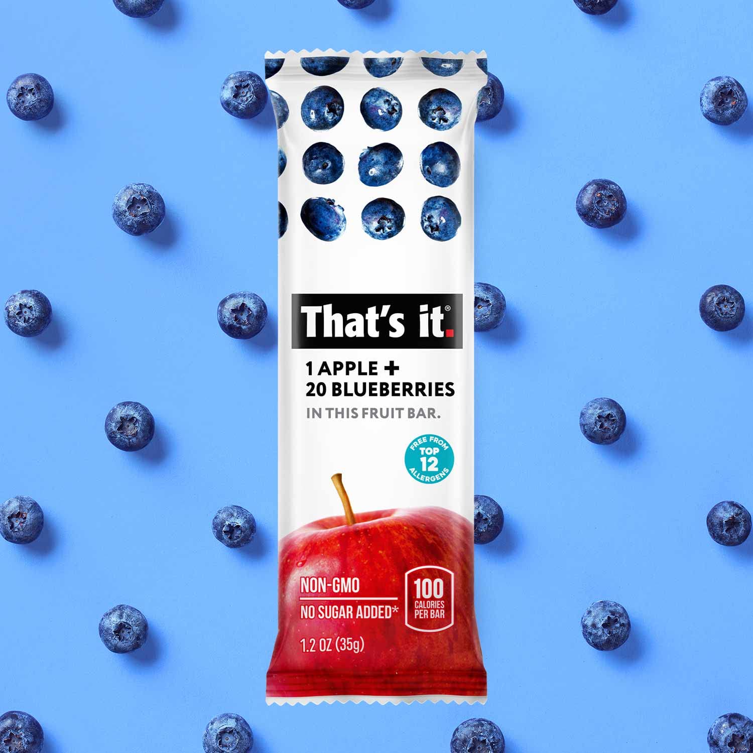 Apple + Blueberry Fruit Bars photo 5