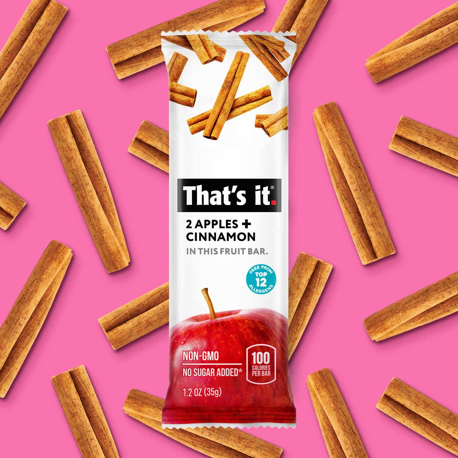 Apple + Cinnamon Fruit Bars photo 5