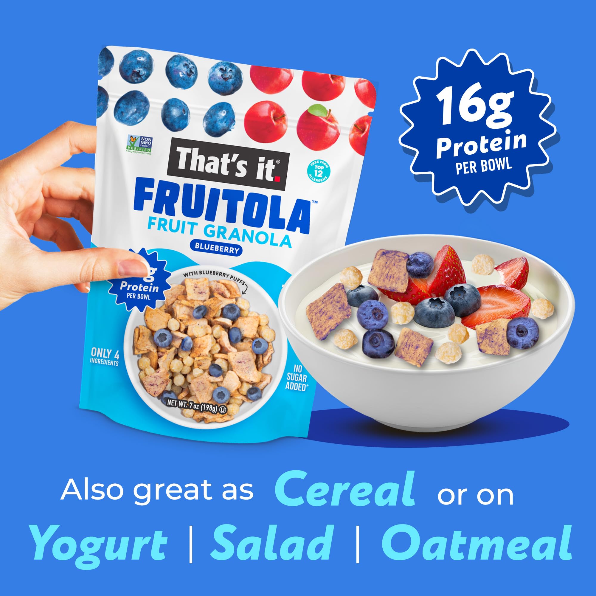 Blueberry Fruitola Fruit Granola (3 Packs) - 7oz photo 4