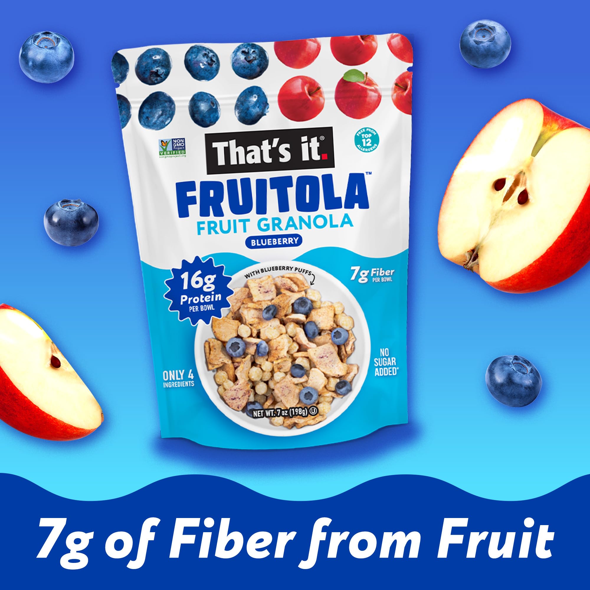 Blueberry Fruitola Fruit Granola (3 Packs) - 7oz photo 5