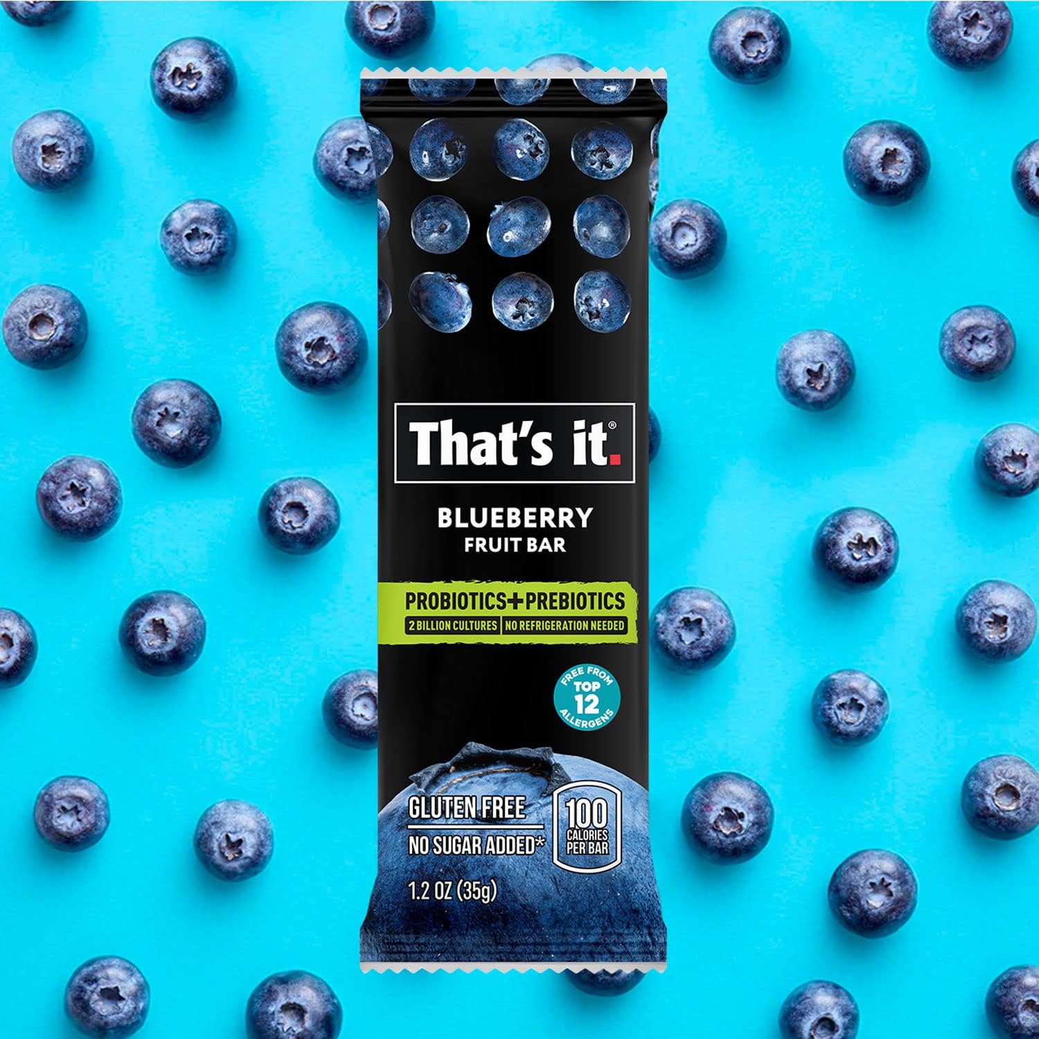 Blueberry Probiotic Fruit Bars photo 4